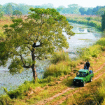 Chitwan