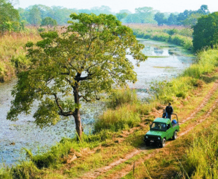 Chitwan