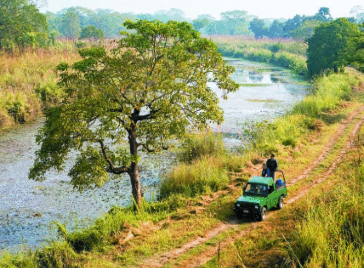 Chitwan