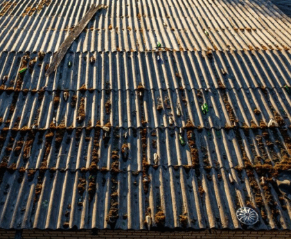 Plank Siding